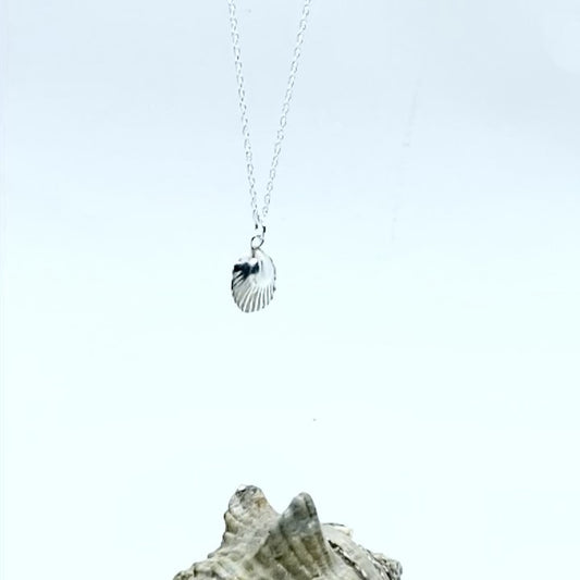 A beautiful beach treasure. NEW...