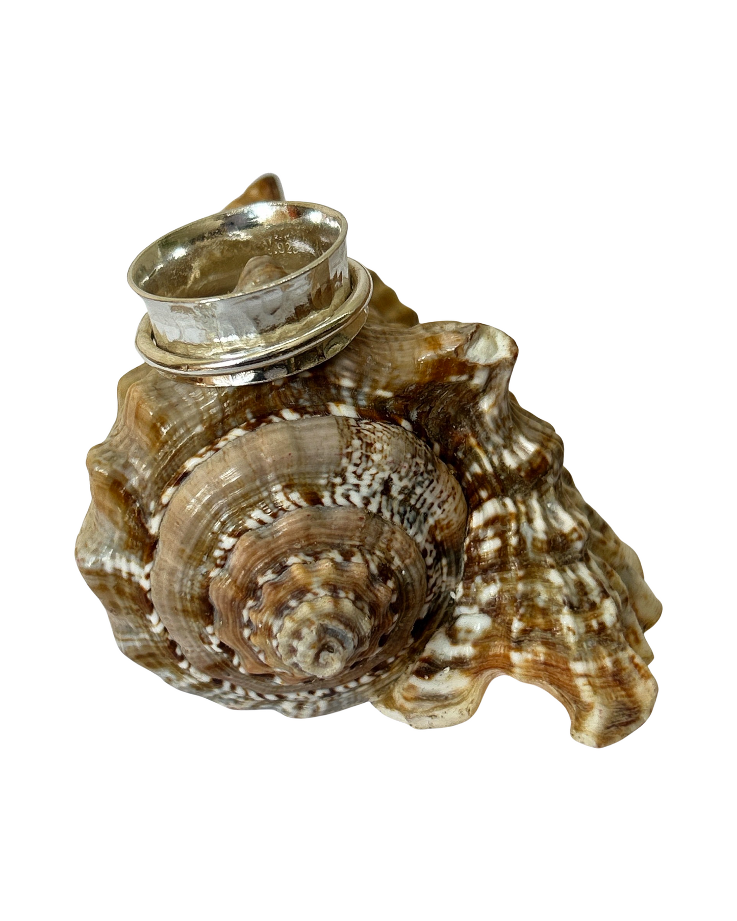 Silver With Silver Spinner Ring - Silver Lines Jewellery