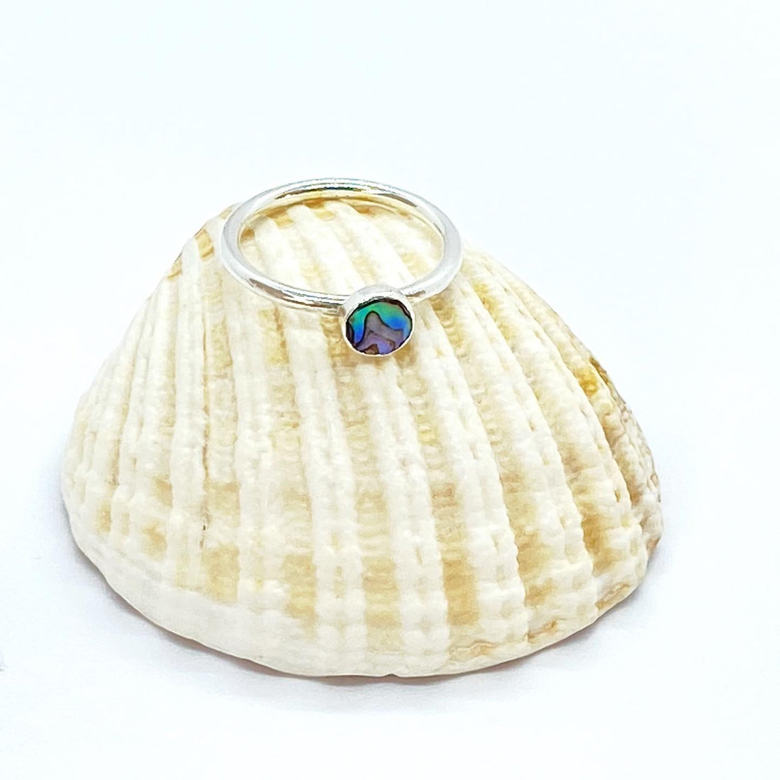 Sea Collection. Abalone Shell and...