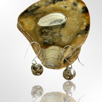 Silver Disc Earrings With Gold - Silver Lines Jewellery