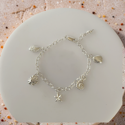 Silver Sea Shell Charm Bracelet - Silver Lines Jewellery