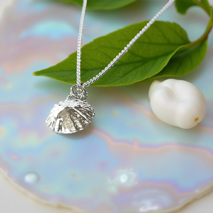 Silver Limpet Shell Necklace - Silver Lines Jewellery