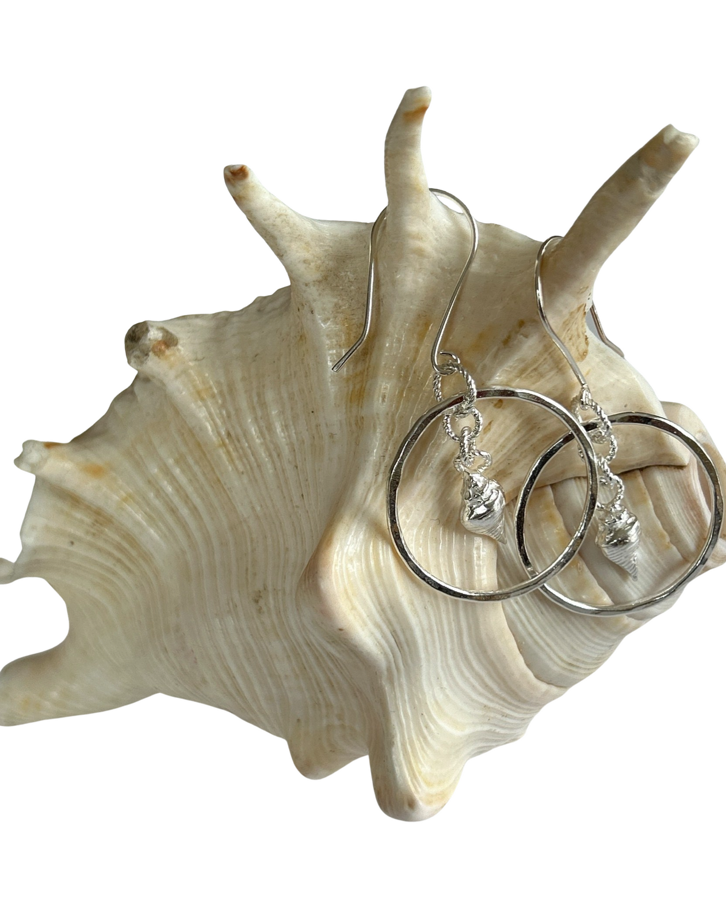 Mermaid Sea Shell Silver Hoop Earrings, - Silver Lines Jewellery