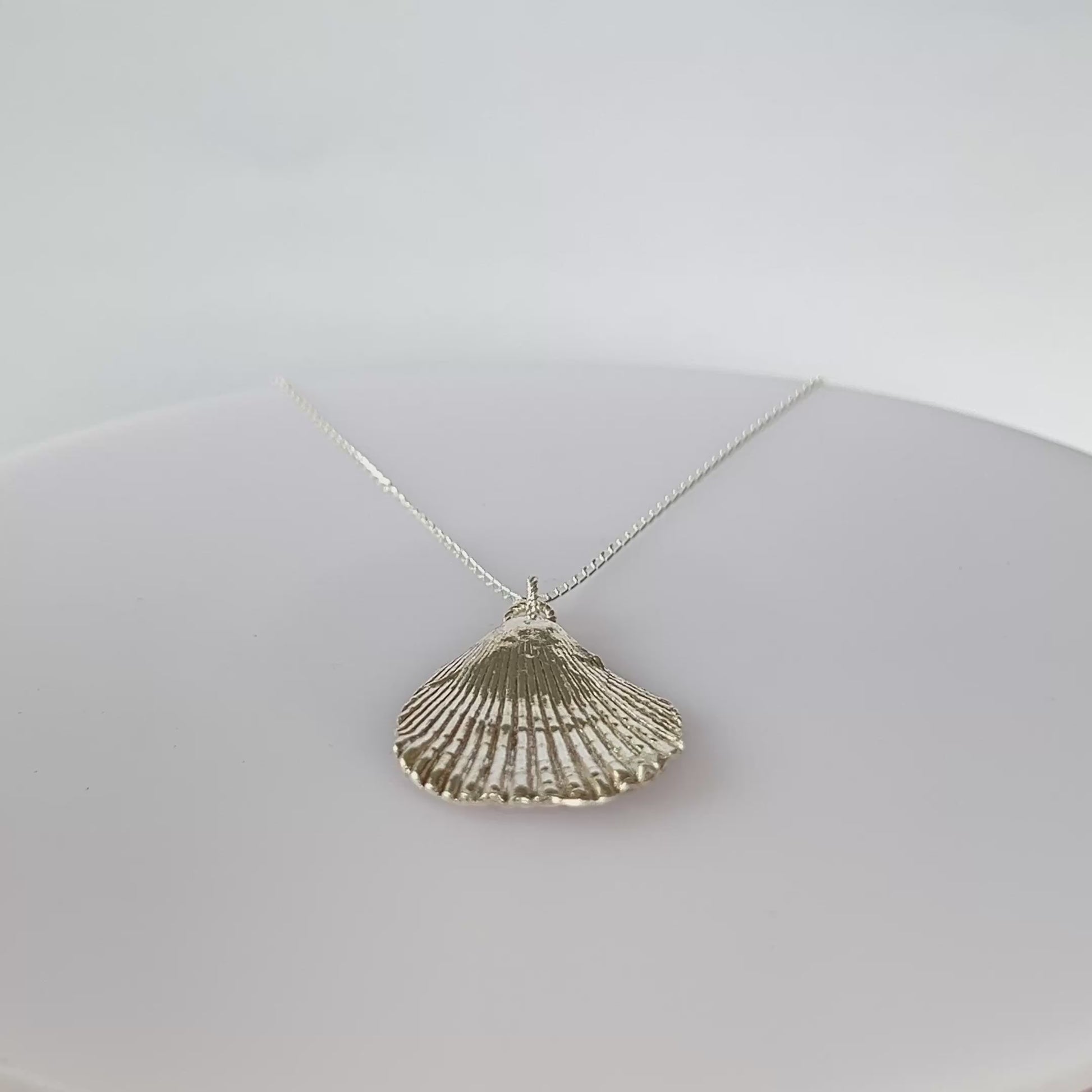 SilverLines Statement Seashell Necklace - SilverLines Jewellery