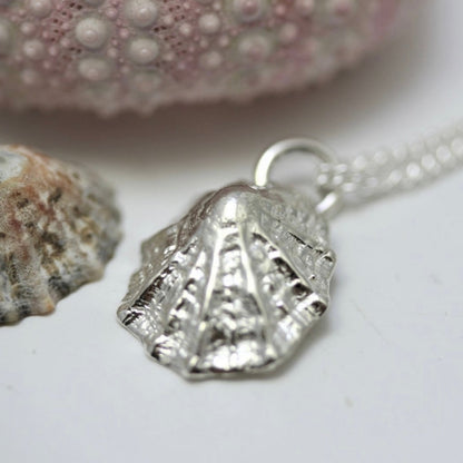 Silver Limpet Necklace - Love Beach Beads