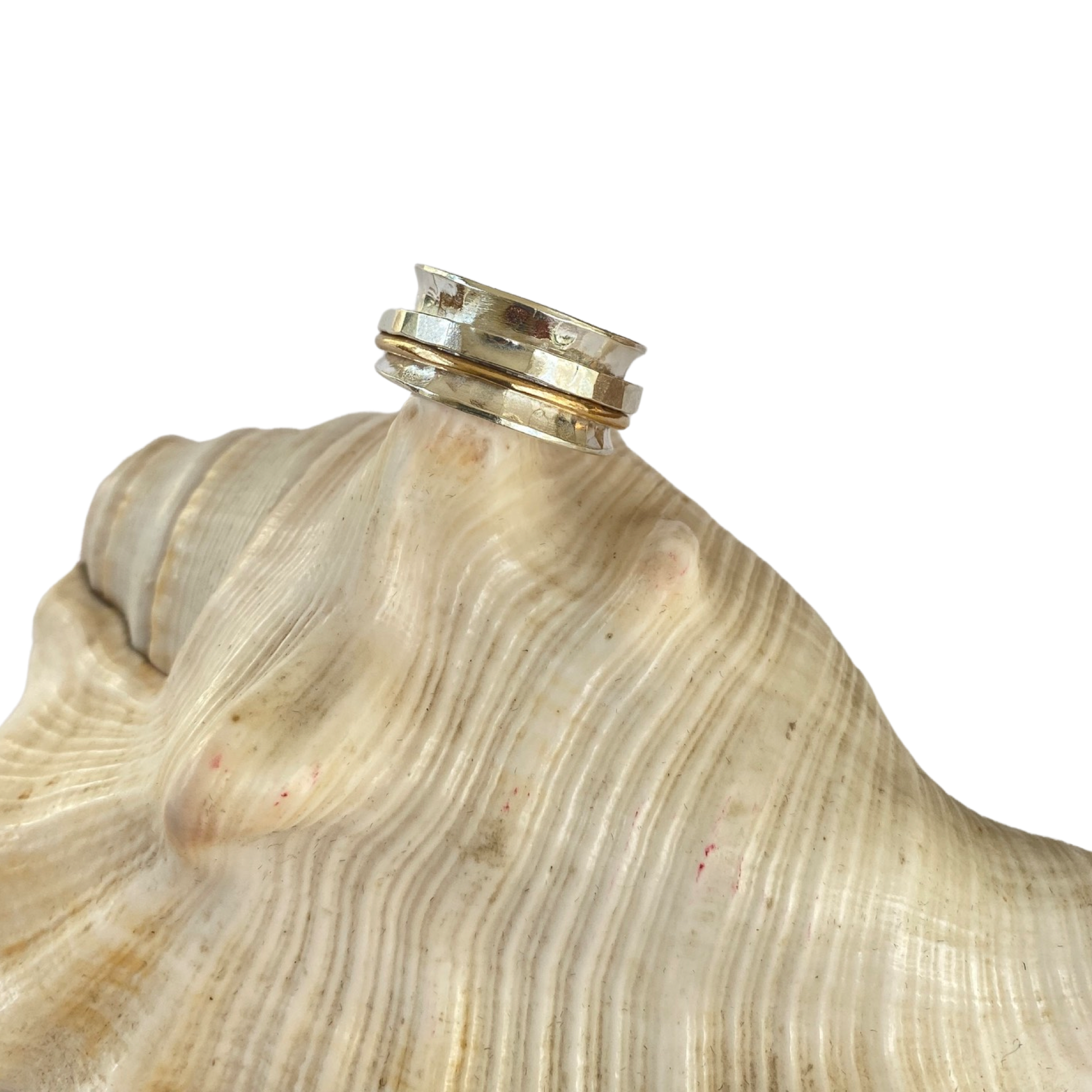 Silver and Gold Spinner Ring - SilverLines Jewellery
