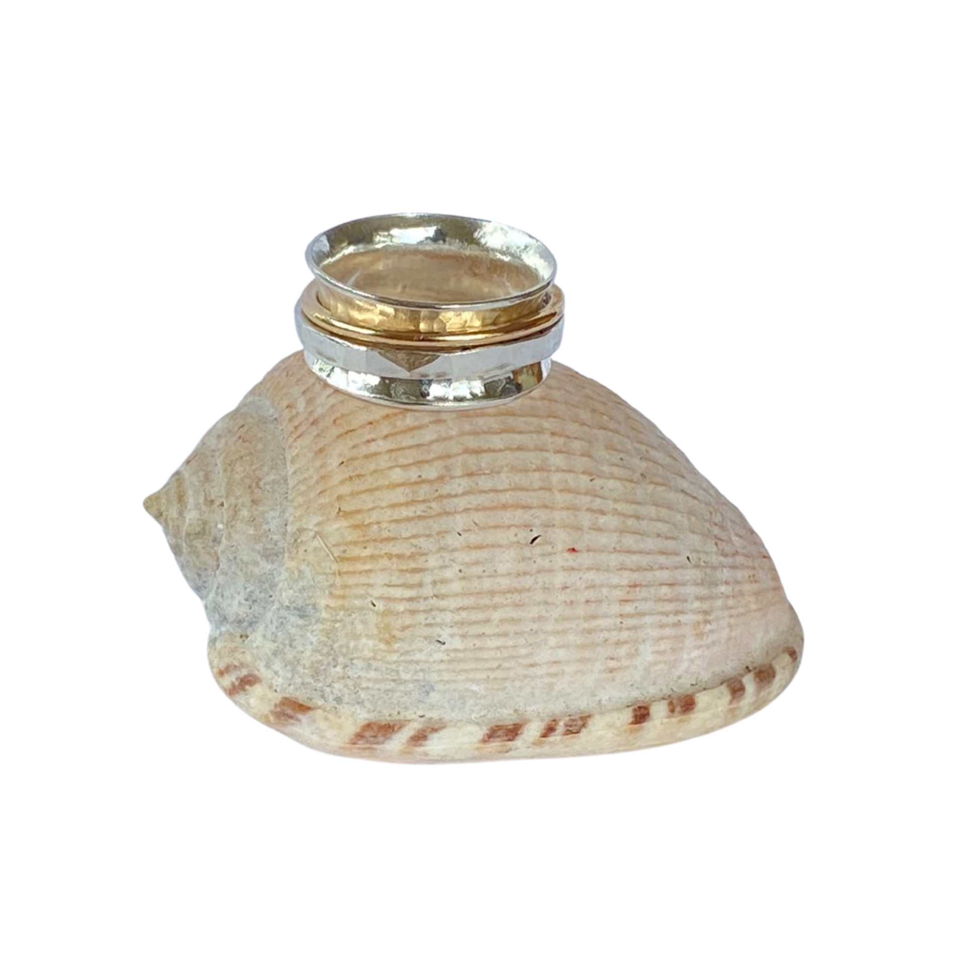 Silver and Gold Spinner Ring - SilverLines Jewellery