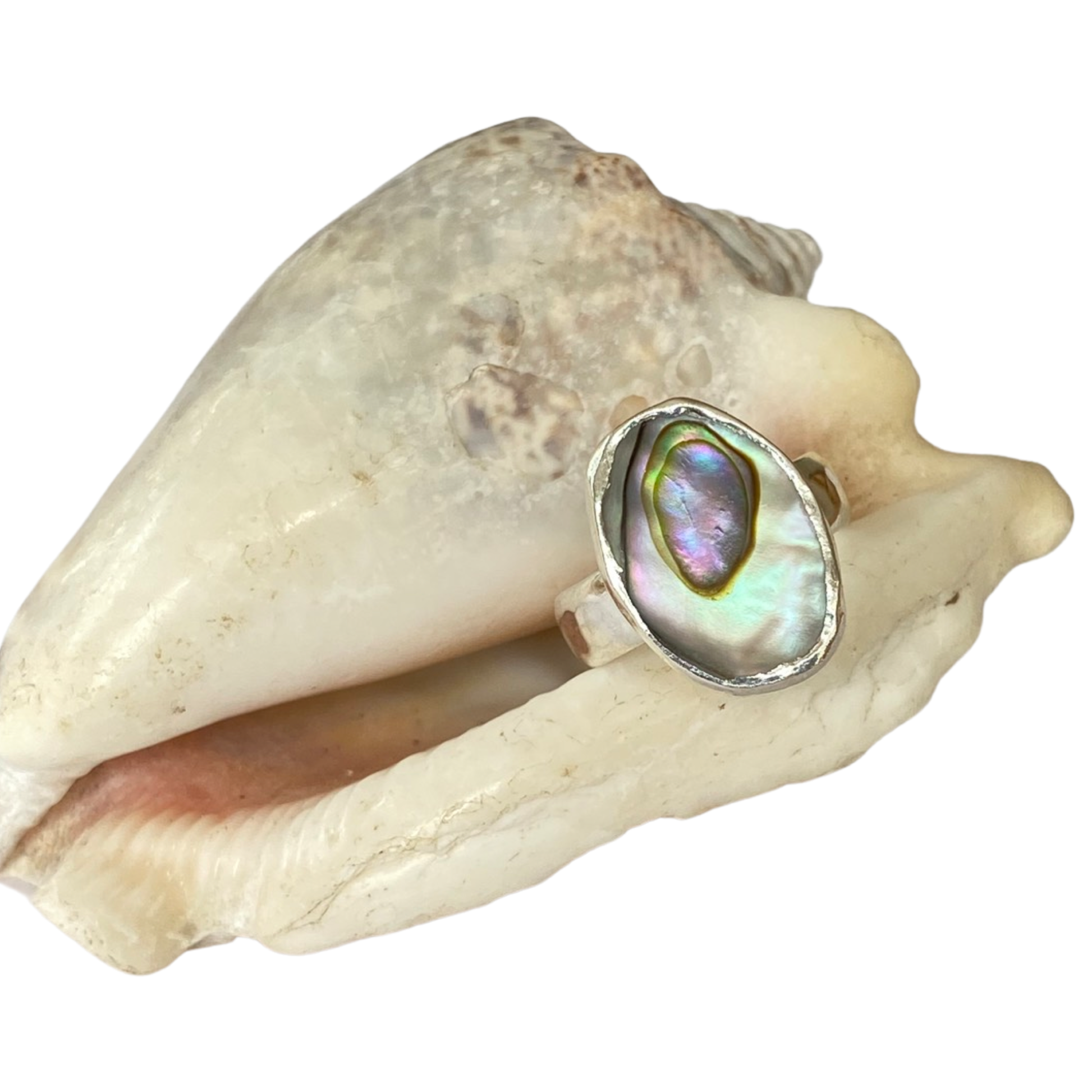 Paua Abalone Ring - Love Beach Beads